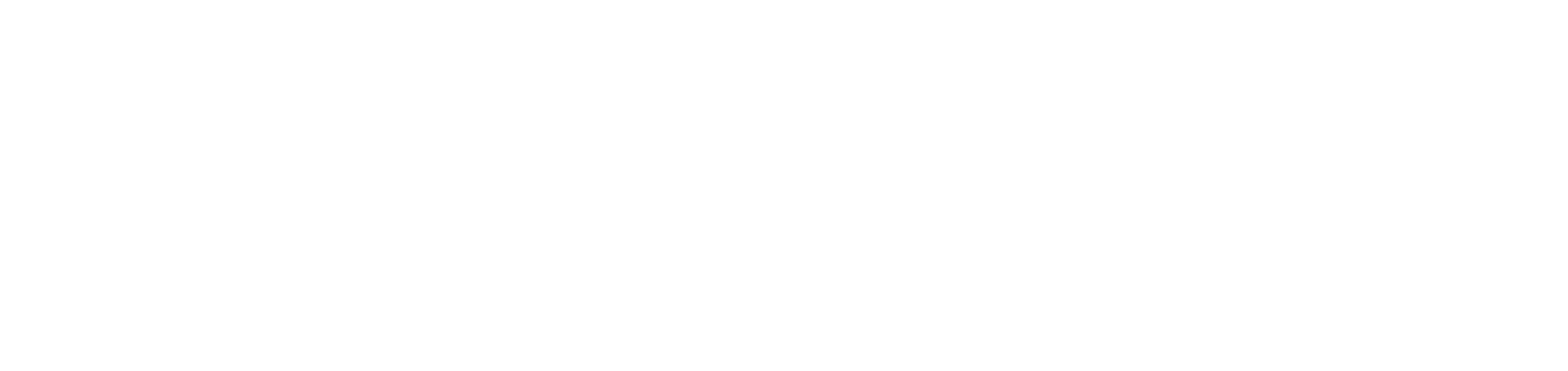 CyberDirekt Partner